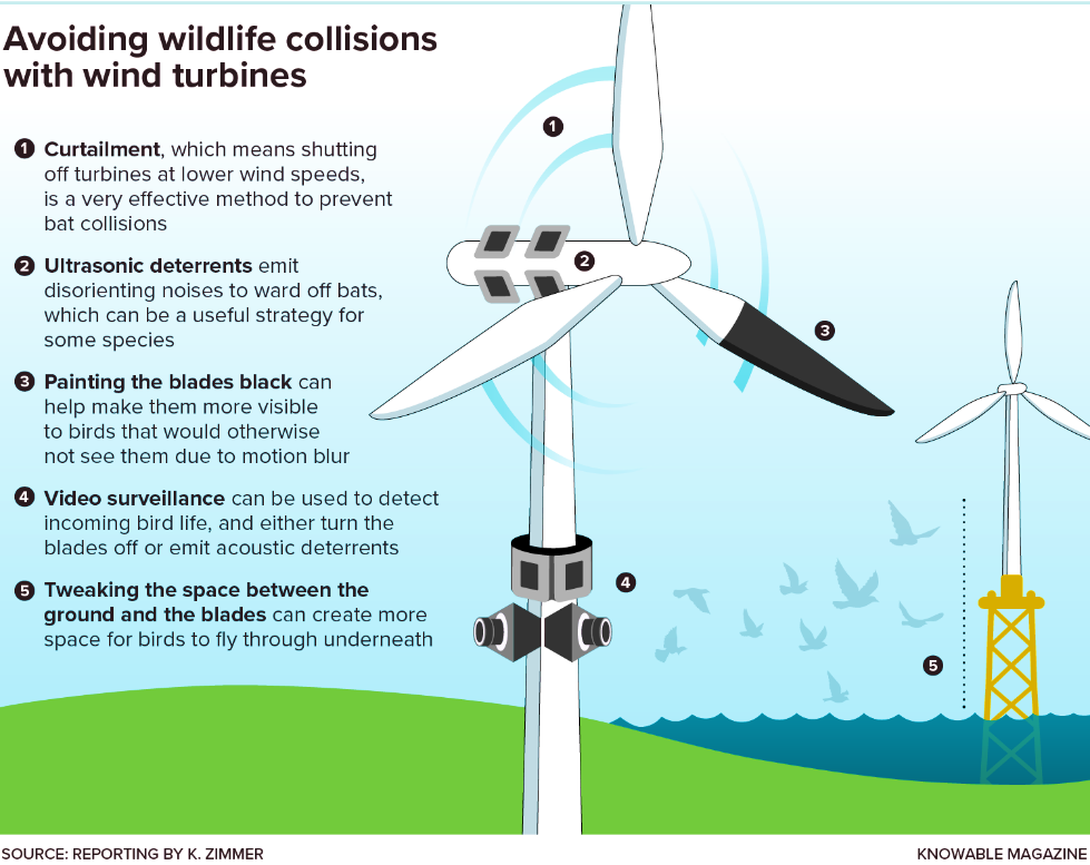 Fig. Interdisciplinary mitigation techniques for bird and bat collisions with wind turbines — curtailment, ultrasonic deterrents, painted blades, video surveillance and blade spacing.