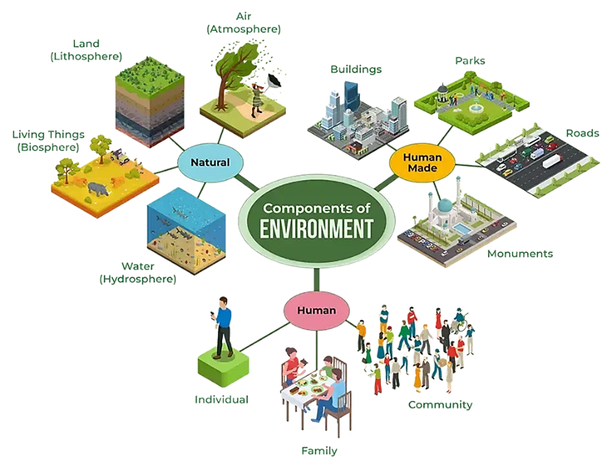 Environment: Meaning, Definitions, Scope and Importance | Hornbill Institute Components of Environment (source diagram, p. 1).