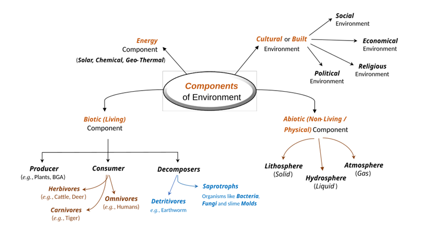 Classification of environmental components reproduced from the source chapter (p. 6).