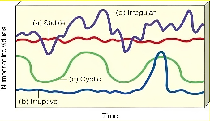 Population fluctuation patterns: stable, irruptive, cyclic and irregular.