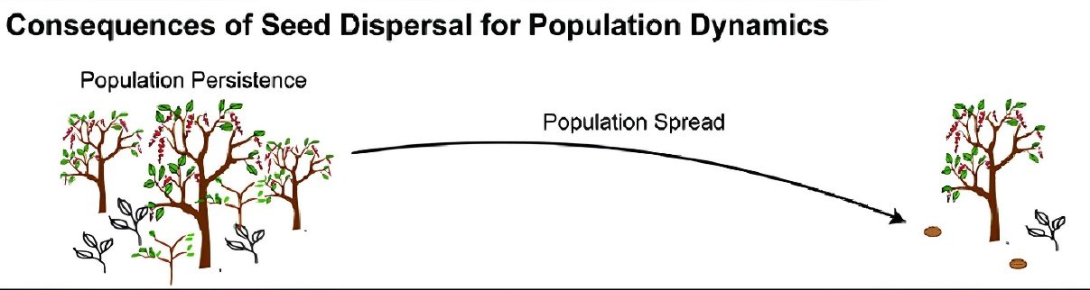 Original seed-dispersal diagram showing population persistence and population spread.