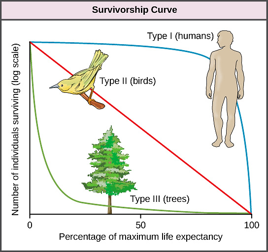 Survivorship curves: Type I humans, Type II birds and Type III trees; the original vertical scale is logarithmic.