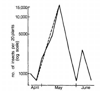 Original thrips population graph from April to June, showing a boom and subsequent decline; numbers are shown on a logarithmic scale.