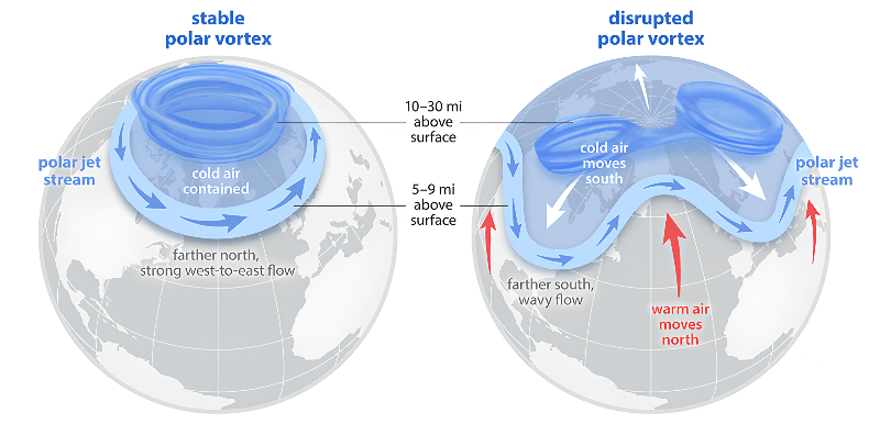 Stable and disrupted polar vortex, as illustrated in the chapter.